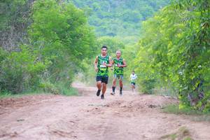 BIB: 
                            <button type="button" onclick="openModal(3592869)" class="btn btn-primary btn-sm float-right btn-popup" data-toggle="modal" data-target=".modal-high-quality">
                        <i class="fas fa-shopping-cart"></i> Add to Cart
                    </button>
                                            <button type="button" onclick="isThisMe(3592869, true)" class="btn btn-success btn-sm float-right btn-popup btn-isme hidden" data-toggle="tooltip" data-placement="bottom" title="นี่คือรูปของคุณใช่ไหม คลิกที่นี่เพื่อเอาเข้าอัลบั้ม">
                        <i class="fas fa-plus"></i> Add to album
                    </button>
                    <button type="button" onclick="isThisMe(3592869, false)" class="btn btn-warning btn-sm float-right btn-popup btn-isnotme hidden">
                        <i class="fas fa-ban"></i> Remove from album
                    </button>