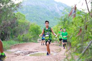 BIB: 
                            <button type="button" onclick="openModal(3595039)" class="btn btn-primary btn-sm float-right btn-popup" data-toggle="modal" data-target=".modal-high-quality">
                        <i class="fas fa-shopping-cart"></i> Add to Cart
                    </button>
                                            <button type="button" onclick="isThisMe(3595039, true)" class="btn btn-success btn-sm float-right btn-popup btn-isme hidden" data-toggle="tooltip" data-placement="bottom" title="นี่คือรูปของคุณใช่ไหม คลิกที่นี่เพื่อเอาเข้าอัลบั้ม">
                        <i class="fas fa-plus"></i> Add to album
                    </button>
                    <button type="button" onclick="isThisMe(3595039, false)" class="btn btn-warning btn-sm float-right btn-popup btn-isnotme hidden">
                        <i class="fas fa-ban"></i> Remove from album
                    </button>