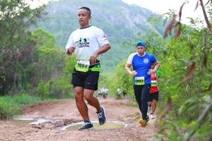 BIB: 
                            <button type="button" onclick="openModal(3595844)" class="btn btn-primary btn-sm float-right btn-popup" data-toggle="modal" data-target=".modal-high-quality">
                        <i class="fas fa-shopping-cart"></i> Add to Cart
                    </button>
                                            <button type="button" onclick="isThisMe(3595844, true)" class="btn btn-success btn-sm float-right btn-popup btn-isme hidden" data-toggle="tooltip" data-placement="bottom" title="นี่คือรูปของคุณใช่ไหม คลิกที่นี่เพื่อเอาเข้าอัลบั้ม">
                        <i class="fas fa-plus"></i> Add to album
                    </button>
                    <button type="button" onclick="isThisMe(3595844, false)" class="btn btn-warning btn-sm float-right btn-popup btn-isnotme hidden">
                        <i class="fas fa-ban"></i> Remove from album
                    </button>