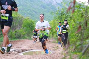 BIB: 2499
                            <button type="button" onclick="openModal(3595224)" class="btn btn-primary btn-sm float-right btn-popup" data-toggle="modal" data-target=".modal-high-quality">
                        <i class="fas fa-shopping-cart"></i> Add to Cart
                    </button>
                                            <button type="button" onclick="isThisMe(3595224, true)" class="btn btn-success btn-sm float-right btn-popup btn-isme hidden" data-toggle="tooltip" data-placement="bottom" title="นี่คือรูปของคุณใช่ไหม คลิกที่นี่เพื่อเอาเข้าอัลบั้ม">
                        <i class="fas fa-plus"></i> Add to album
                    </button>
                    <button type="button" onclick="isThisMe(3595224, false)" class="btn btn-warning btn-sm float-right btn-popup btn-isnotme hidden">
                        <i class="fas fa-ban"></i> Remove from album
                    </button>