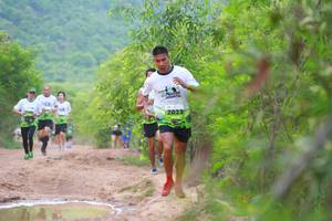 BIB: 
                            <button type="button" onclick="openModal(3595893)" class="btn btn-primary btn-sm float-right btn-popup" data-toggle="modal" data-target=".modal-high-quality">
                        <i class="fas fa-shopping-cart"></i> Add to Cart
                    </button>
                                            <button type="button" onclick="isThisMe(3595893, true)" class="btn btn-success btn-sm float-right btn-popup btn-isme hidden" data-toggle="tooltip" data-placement="bottom" title="นี่คือรูปของคุณใช่ไหม คลิกที่นี่เพื่อเอาเข้าอัลบั้ม">
                        <i class="fas fa-plus"></i> Add to album
                    </button>
                    <button type="button" onclick="isThisMe(3595893, false)" class="btn btn-warning btn-sm float-right btn-popup btn-isnotme hidden">
                        <i class="fas fa-ban"></i> Remove from album
                    </button>