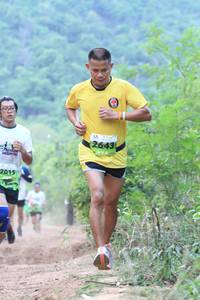 BIB: 2643, 2015
                            <button type="button" onclick="openModal(3587161)" class="btn btn-primary btn-sm float-right btn-popup" data-toggle="modal" data-target=".modal-high-quality">
                        <i class="fas fa-shopping-cart"></i> Add to Cart
                    </button>
                                            <button type="button" onclick="isThisMe(3587161, true)" class="btn btn-success btn-sm float-right btn-popup btn-isme hidden" data-toggle="tooltip" data-placement="bottom" title="นี่คือรูปของคุณใช่ไหม คลิกที่นี่เพื่อเอาเข้าอัลบั้ม">
                        <i class="fas fa-plus"></i> Add to album
                    </button>
                    <button type="button" onclick="isThisMe(3587161, false)" class="btn btn-warning btn-sm float-right btn-popup btn-isnotme hidden">
                        <i class="fas fa-ban"></i> Remove from album
                    </button>