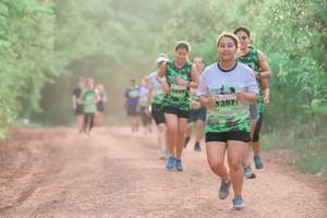 BIB: 387
                            <button type="button" onclick="openModal(3708791)" class="btn btn-primary btn-sm float-right btn-popup" data-toggle="modal" data-target=".modal-high-quality">
                        <i class="fas fa-shopping-cart"></i> Add to Cart
                    </button>
                                            <button type="button" onclick="isThisMe(3708791, true)" class="btn btn-success btn-sm float-right btn-popup btn-isme hidden" data-toggle="tooltip" data-placement="bottom" title="นี่คือรูปของคุณใช่ไหม คลิกที่นี่เพื่อเอาเข้าอัลบั้ม">
                        <i class="fas fa-plus"></i> Add to album
                    </button>
                    <button type="button" onclick="isThisMe(3708791, false)" class="btn btn-warning btn-sm float-right btn-popup btn-isnotme hidden">
                        <i class="fas fa-ban"></i> Remove from album
                    </button>