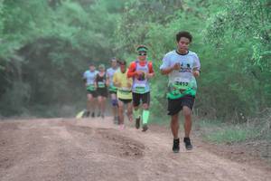 BIB: 241314
                            <button type="button" onclick="openModal(3700677)" class="btn btn-primary btn-sm float-right btn-popup" data-toggle="modal" data-target=".modal-high-quality">
                        <i class="fas fa-shopping-cart"></i> Add to Cart
                    </button>
                                            <button type="button" onclick="isThisMe(3700677, true)" class="btn btn-success btn-sm float-right btn-popup btn-isme hidden" data-toggle="tooltip" data-placement="bottom" title="นี่คือรูปของคุณใช่ไหม คลิกที่นี่เพื่อเอาเข้าอัลบั้ม">
                        <i class="fas fa-plus"></i> Add to album
                    </button>
                    <button type="button" onclick="isThisMe(3700677, false)" class="btn btn-warning btn-sm float-right btn-popup btn-isnotme hidden">
                        <i class="fas fa-ban"></i> Remove from album
                    </button>