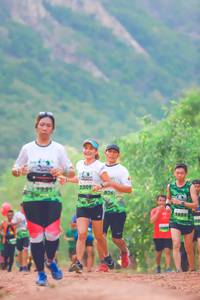 BIB: 2309, 826, 1688
                            <button type="button" onclick="openModal(3734929)" class="btn btn-primary btn-sm float-right btn-popup" data-toggle="modal" data-target=".modal-high-quality">
                        <i class="fas fa-shopping-cart"></i> Add to Cart
                    </button>
                                            <button type="button" onclick="isThisMe(3734929, true)" class="btn btn-success btn-sm float-right btn-popup btn-isme hidden" data-toggle="tooltip" data-placement="bottom" title="นี่คือรูปของคุณใช่ไหม คลิกที่นี่เพื่อเอาเข้าอัลบั้ม">
                        <i class="fas fa-plus"></i> Add to album
                    </button>
                    <button type="button" onclick="isThisMe(3734929, false)" class="btn btn-warning btn-sm float-right btn-popup btn-isnotme hidden">
                        <i class="fas fa-ban"></i> Remove from album
                    </button>