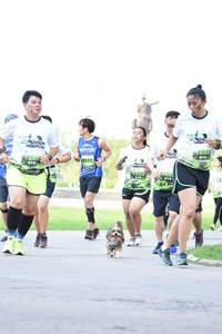 BIB: 1230
                            <button type="button" onclick="openModal(3645827)" class="btn btn-primary btn-sm float-right btn-popup" data-toggle="modal" data-target=".modal-high-quality">
                        <i class="fas fa-shopping-cart"></i> Add to Cart
                    </button>
                                            <button type="button" onclick="isThisMe(3645827, true)" class="btn btn-success btn-sm float-right btn-popup btn-isme hidden" data-toggle="tooltip" data-placement="bottom" title="นี่คือรูปของคุณใช่ไหม คลิกที่นี่เพื่อเอาเข้าอัลบั้ม">
                        <i class="fas fa-plus"></i> Add to album
                    </button>
                    <button type="button" onclick="isThisMe(3645827, false)" class="btn btn-warning btn-sm float-right btn-popup btn-isnotme hidden">
                        <i class="fas fa-ban"></i> Remove from album
                    </button>