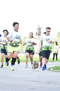 BIB: 1230
                            <button type="button" onclick="openModal(3645838)" class="btn btn-primary btn-sm float-right btn-popup" data-toggle="modal" data-target=".modal-high-quality">
                        <i class="fas fa-shopping-cart"></i> Add to Cart
                    </button>
                                            <button type="button" onclick="isThisMe(3645838, true)" class="btn btn-success btn-sm float-right btn-popup btn-isme hidden" data-toggle="tooltip" data-placement="bottom" title="นี่คือรูปของคุณใช่ไหม คลิกที่นี่เพื่อเอาเข้าอัลบั้ม">
                        <i class="fas fa-plus"></i> Add to album
                    </button>
                    <button type="button" onclick="isThisMe(3645838, false)" class="btn btn-warning btn-sm float-right btn-popup btn-isnotme hidden">
                        <i class="fas fa-ban"></i> Remove from album
                    </button>