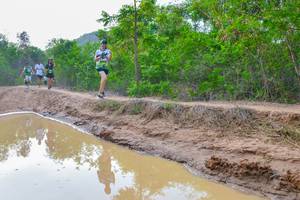 BIB: 2167, 2211
                            <button type="button" onclick="openModal(3737919)" class="btn btn-primary btn-sm float-right btn-popup" data-toggle="modal" data-target=".modal-high-quality">
                        <i class="fas fa-shopping-cart"></i> Add to Cart
                    </button>
                                            <button type="button" onclick="isThisMe(3737919, true)" class="btn btn-success btn-sm float-right btn-popup btn-isme hidden" data-toggle="tooltip" data-placement="bottom" title="นี่คือรูปของคุณใช่ไหม คลิกที่นี่เพื่อเอาเข้าอัลบั้ม">
                        <i class="fas fa-plus"></i> Add to album
                    </button>
                    <button type="button" onclick="isThisMe(3737919, false)" class="btn btn-warning btn-sm float-right btn-popup btn-isnotme hidden">
                        <i class="fas fa-ban"></i> Remove from album
                    </button>