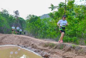 BIB: 1483, 
                            <button type="button" onclick="openModal(3737898)" class="btn btn-primary btn-sm float-right btn-popup" data-toggle="modal" data-target=".modal-high-quality">
                        <i class="fas fa-shopping-cart"></i> Add to Cart
                    </button>
                                            <button type="button" onclick="isThisMe(3737898, true)" class="btn btn-success btn-sm float-right btn-popup btn-isme hidden" data-toggle="tooltip" data-placement="bottom" title="นี่คือรูปของคุณใช่ไหม คลิกที่นี่เพื่อเอาเข้าอัลบั้ม">
                        <i class="fas fa-plus"></i> Add to album
                    </button>
                    <button type="button" onclick="isThisMe(3737898, false)" class="btn btn-warning btn-sm float-right btn-popup btn-isnotme hidden">
                        <i class="fas fa-ban"></i> Remove from album
                    </button>