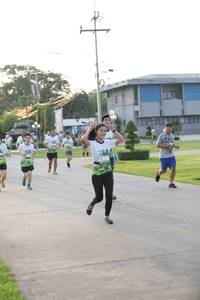 BIB: 
                            <button type="button" onclick="openModal(3802396)" class="btn btn-primary btn-sm float-right btn-popup" data-toggle="modal" data-target=".modal-high-quality">
                        <i class="fas fa-shopping-cart"></i> Add to Cart
                    </button>
                                            <button type="button" onclick="isThisMe(3802396, true)" class="btn btn-success btn-sm float-right btn-popup btn-isme hidden" data-toggle="tooltip" data-placement="bottom" title="นี่คือรูปของคุณใช่ไหม คลิกที่นี่เพื่อเอาเข้าอัลบั้ม">
                        <i class="fas fa-plus"></i> Add to album
                    </button>
                    <button type="button" onclick="isThisMe(3802396, false)" class="btn btn-warning btn-sm float-right btn-popup btn-isnotme hidden">
                        <i class="fas fa-ban"></i> Remove from album
                    </button>