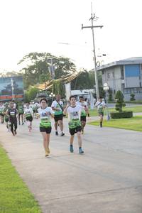 BIB: 
                            <button type="button" onclick="openModal(3802403)" class="btn btn-primary btn-sm float-right btn-popup" data-toggle="modal" data-target=".modal-high-quality">
                        <i class="fas fa-shopping-cart"></i> Add to Cart
                    </button>
                                            <button type="button" onclick="isThisMe(3802403, true)" class="btn btn-success btn-sm float-right btn-popup btn-isme hidden" data-toggle="tooltip" data-placement="bottom" title="นี่คือรูปของคุณใช่ไหม คลิกที่นี่เพื่อเอาเข้าอัลบั้ม">
                        <i class="fas fa-plus"></i> Add to album
                    </button>
                    <button type="button" onclick="isThisMe(3802403, false)" class="btn btn-warning btn-sm float-right btn-popup btn-isnotme hidden">
                        <i class="fas fa-ban"></i> Remove from album
                    </button>