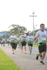 BIB: 1382
                            <button type="button" onclick="openModal(3803054)" class="btn btn-primary btn-sm float-right btn-popup" data-toggle="modal" data-target=".modal-high-quality">
                        <i class="fas fa-shopping-cart"></i> Add to Cart
                    </button>
                                            <button type="button" onclick="isThisMe(3803054, true)" class="btn btn-success btn-sm float-right btn-popup btn-isme hidden" data-toggle="tooltip" data-placement="bottom" title="นี่คือรูปของคุณใช่ไหม คลิกที่นี่เพื่อเอาเข้าอัลบั้ม">
                        <i class="fas fa-plus"></i> Add to album
                    </button>
                    <button type="button" onclick="isThisMe(3803054, false)" class="btn btn-warning btn-sm float-right btn-popup btn-isnotme hidden">
                        <i class="fas fa-ban"></i> Remove from album
                    </button>