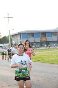 BIB: 
                            <button type="button" onclick="openModal(3803279)" class="btn btn-primary btn-sm float-right btn-popup" data-toggle="modal" data-target=".modal-high-quality">
                        <i class="fas fa-shopping-cart"></i> Add to Cart
                    </button>
                                            <button type="button" onclick="isThisMe(3803279, true)" class="btn btn-success btn-sm float-right btn-popup btn-isme hidden" data-toggle="tooltip" data-placement="bottom" title="นี่คือรูปของคุณใช่ไหม คลิกที่นี่เพื่อเอาเข้าอัลบั้ม">
                        <i class="fas fa-plus"></i> Add to album
                    </button>
                    <button type="button" onclick="isThisMe(3803279, false)" class="btn btn-warning btn-sm float-right btn-popup btn-isnotme hidden">
                        <i class="fas fa-ban"></i> Remove from album
                    </button>