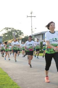 BIB: 
                            <button type="button" onclick="openModal(3803120)" class="btn btn-primary btn-sm float-right btn-popup" data-toggle="modal" data-target=".modal-high-quality">
                        <i class="fas fa-shopping-cart"></i> Add to Cart
                    </button>
                                            <button type="button" onclick="isThisMe(3803120, true)" class="btn btn-success btn-sm float-right btn-popup btn-isme hidden" data-toggle="tooltip" data-placement="bottom" title="นี่คือรูปของคุณใช่ไหม คลิกที่นี่เพื่อเอาเข้าอัลบั้ม">
                        <i class="fas fa-plus"></i> Add to album
                    </button>
                    <button type="button" onclick="isThisMe(3803120, false)" class="btn btn-warning btn-sm float-right btn-popup btn-isnotme hidden">
                        <i class="fas fa-ban"></i> Remove from album
                    </button>