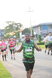 BIB: 2442
                            <button type="button" onclick="openModal(3803251)" class="btn btn-primary btn-sm float-right btn-popup" data-toggle="modal" data-target=".modal-high-quality">
                        <i class="fas fa-shopping-cart"></i> Add to Cart
                    </button>
                                            <button type="button" onclick="isThisMe(3803251, true)" class="btn btn-success btn-sm float-right btn-popup btn-isme hidden" data-toggle="tooltip" data-placement="bottom" title="นี่คือรูปของคุณใช่ไหม คลิกที่นี่เพื่อเอาเข้าอัลบั้ม">
                        <i class="fas fa-plus"></i> Add to album
                    </button>
                    <button type="button" onclick="isThisMe(3803251, false)" class="btn btn-warning btn-sm float-right btn-popup btn-isnotme hidden">
                        <i class="fas fa-ban"></i> Remove from album
                    </button>