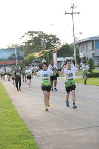 BIB: 
                            <button type="button" onclick="openModal(3802400)" class="btn btn-primary btn-sm float-right btn-popup" data-toggle="modal" data-target=".modal-high-quality">
                        <i class="fas fa-shopping-cart"></i> Add to Cart
                    </button>
                                            <button type="button" onclick="isThisMe(3802400, true)" class="btn btn-success btn-sm float-right btn-popup btn-isme hidden" data-toggle="tooltip" data-placement="bottom" title="นี่คือรูปของคุณใช่ไหม คลิกที่นี่เพื่อเอาเข้าอัลบั้ม">
                        <i class="fas fa-plus"></i> Add to album
                    </button>
                    <button type="button" onclick="isThisMe(3802400, false)" class="btn btn-warning btn-sm float-right btn-popup btn-isnotme hidden">
                        <i class="fas fa-ban"></i> Remove from album
                    </button>