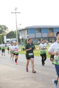 BIB: 
                            <button type="button" onclick="openModal(3803551)" class="btn btn-primary btn-sm float-right btn-popup" data-toggle="modal" data-target=".modal-high-quality">
                        <i class="fas fa-shopping-cart"></i> Add to Cart
                    </button>
                                            <button type="button" onclick="isThisMe(3803551, true)" class="btn btn-success btn-sm float-right btn-popup btn-isme hidden" data-toggle="tooltip" data-placement="bottom" title="นี่คือรูปของคุณใช่ไหม คลิกที่นี่เพื่อเอาเข้าอัลบั้ม">
                        <i class="fas fa-plus"></i> Add to album
                    </button>
                    <button type="button" onclick="isThisMe(3803551, false)" class="btn btn-warning btn-sm float-right btn-popup btn-isnotme hidden">
                        <i class="fas fa-ban"></i> Remove from album
                    </button>