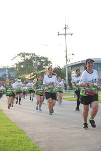 BIB: 
                            <button type="button" onclick="openModal(3803123)" class="btn btn-primary btn-sm float-right btn-popup" data-toggle="modal" data-target=".modal-high-quality">
                        <i class="fas fa-shopping-cart"></i> Add to Cart
                    </button>
                                            <button type="button" onclick="isThisMe(3803123, true)" class="btn btn-success btn-sm float-right btn-popup btn-isme hidden" data-toggle="tooltip" data-placement="bottom" title="นี่คือรูปของคุณใช่ไหม คลิกที่นี่เพื่อเอาเข้าอัลบั้ม">
                        <i class="fas fa-plus"></i> Add to album
                    </button>
                    <button type="button" onclick="isThisMe(3803123, false)" class="btn btn-warning btn-sm float-right btn-popup btn-isnotme hidden">
                        <i class="fas fa-ban"></i> Remove from album
                    </button>