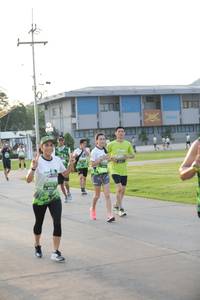 BIB: 
                            <button type="button" onclick="openModal(3802360)" class="btn btn-primary btn-sm float-right btn-popup" data-toggle="modal" data-target=".modal-high-quality">
                        <i class="fas fa-shopping-cart"></i> Add to Cart
                    </button>
                                            <button type="button" onclick="isThisMe(3802360, true)" class="btn btn-success btn-sm float-right btn-popup btn-isme hidden" data-toggle="tooltip" data-placement="bottom" title="นี่คือรูปของคุณใช่ไหม คลิกที่นี่เพื่อเอาเข้าอัลบั้ม">
                        <i class="fas fa-plus"></i> Add to album
                    </button>
                    <button type="button" onclick="isThisMe(3802360, false)" class="btn btn-warning btn-sm float-right btn-popup btn-isnotme hidden">
                        <i class="fas fa-ban"></i> Remove from album
                    </button>