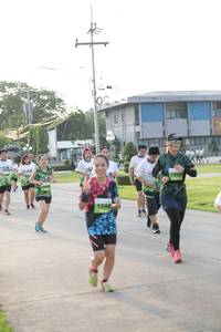 BIB: , 1744
                            <button type="button" onclick="openModal(3803570)" class="btn btn-primary btn-sm float-right btn-popup" data-toggle="modal" data-target=".modal-high-quality">
                        <i class="fas fa-shopping-cart"></i> Add to Cart
                    </button>
                                            <button type="button" onclick="isThisMe(3803570, true)" class="btn btn-success btn-sm float-right btn-popup btn-isme hidden" data-toggle="tooltip" data-placement="bottom" title="นี่คือรูปของคุณใช่ไหม คลิกที่นี่เพื่อเอาเข้าอัลบั้ม">
                        <i class="fas fa-plus"></i> Add to album
                    </button>
                    <button type="button" onclick="isThisMe(3803570, false)" class="btn btn-warning btn-sm float-right btn-popup btn-isnotme hidden">
                        <i class="fas fa-ban"></i> Remove from album
                    </button>