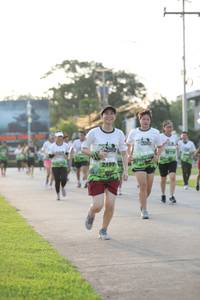 BIB: 2199
                            <button type="button" onclick="openModal(3802476)" class="btn btn-primary btn-sm float-right btn-popup" data-toggle="modal" data-target=".modal-high-quality">
                        <i class="fas fa-shopping-cart"></i> Add to Cart
                    </button>
                                            <button type="button" onclick="isThisMe(3802476, true)" class="btn btn-success btn-sm float-right btn-popup btn-isme hidden" data-toggle="tooltip" data-placement="bottom" title="นี่คือรูปของคุณใช่ไหม คลิกที่นี่เพื่อเอาเข้าอัลบั้ม">
                        <i class="fas fa-plus"></i> Add to album
                    </button>
                    <button type="button" onclick="isThisMe(3802476, false)" class="btn btn-warning btn-sm float-right btn-popup btn-isnotme hidden">
                        <i class="fas fa-ban"></i> Remove from album
                    </button>