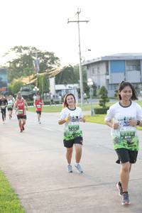 BIB: 
                            <button type="button" onclick="openModal(3802214)" class="btn btn-primary btn-sm float-right btn-popup" data-toggle="modal" data-target=".modal-high-quality">
                        <i class="fas fa-shopping-cart"></i> Add to Cart
                    </button>
                                            <button type="button" onclick="isThisMe(3802214, true)" class="btn btn-success btn-sm float-right btn-popup btn-isme hidden" data-toggle="tooltip" data-placement="bottom" title="นี่คือรูปของคุณใช่ไหม คลิกที่นี่เพื่อเอาเข้าอัลบั้ม">
                        <i class="fas fa-plus"></i> Add to album
                    </button>
                    <button type="button" onclick="isThisMe(3802214, false)" class="btn btn-warning btn-sm float-right btn-popup btn-isnotme hidden">
                        <i class="fas fa-ban"></i> Remove from album
                    </button>