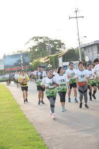 BIB: 
                            <button type="button" onclick="openModal(3803381)" class="btn btn-primary btn-sm float-right btn-popup" data-toggle="modal" data-target=".modal-high-quality">
                        <i class="fas fa-shopping-cart"></i> Add to Cart
                    </button>
                                            <button type="button" onclick="isThisMe(3803381, true)" class="btn btn-success btn-sm float-right btn-popup btn-isme hidden" data-toggle="tooltip" data-placement="bottom" title="นี่คือรูปของคุณใช่ไหม คลิกที่นี่เพื่อเอาเข้าอัลบั้ม">
                        <i class="fas fa-plus"></i> Add to album
                    </button>
                    <button type="button" onclick="isThisMe(3803381, false)" class="btn btn-warning btn-sm float-right btn-popup btn-isnotme hidden">
                        <i class="fas fa-ban"></i> Remove from album
                    </button>