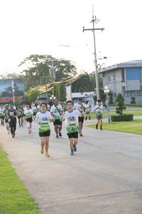 BIB: 
                            <button type="button" onclick="openModal(3802397)" class="btn btn-primary btn-sm float-right btn-popup" data-toggle="modal" data-target=".modal-high-quality">
                        <i class="fas fa-shopping-cart"></i> Add to Cart
                    </button>
                                            <button type="button" onclick="isThisMe(3802397, true)" class="btn btn-success btn-sm float-right btn-popup btn-isme hidden" data-toggle="tooltip" data-placement="bottom" title="นี่คือรูปของคุณใช่ไหม คลิกที่นี่เพื่อเอาเข้าอัลบั้ม">
                        <i class="fas fa-plus"></i> Add to album
                    </button>
                    <button type="button" onclick="isThisMe(3802397, false)" class="btn btn-warning btn-sm float-right btn-popup btn-isnotme hidden">
                        <i class="fas fa-ban"></i> Remove from album
                    </button>