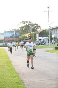 BIB: 
                            <button type="button" onclick="openModal(3802228)" class="btn btn-primary btn-sm float-right btn-popup" data-toggle="modal" data-target=".modal-high-quality">
                        <i class="fas fa-shopping-cart"></i> Add to Cart
                    </button>
                                            <button type="button" onclick="isThisMe(3802228, true)" class="btn btn-success btn-sm float-right btn-popup btn-isme hidden" data-toggle="tooltip" data-placement="bottom" title="นี่คือรูปของคุณใช่ไหม คลิกที่นี่เพื่อเอาเข้าอัลบั้ม">
                        <i class="fas fa-plus"></i> Add to album
                    </button>
                    <button type="button" onclick="isThisMe(3802228, false)" class="btn btn-warning btn-sm float-right btn-popup btn-isnotme hidden">
                        <i class="fas fa-ban"></i> Remove from album
                    </button>