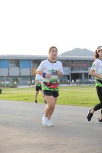 BIB: 
                            <button type="button" onclick="openModal(3803097)" class="btn btn-primary btn-sm float-right btn-popup" data-toggle="modal" data-target=".modal-high-quality">
                        <i class="fas fa-shopping-cart"></i> Add to Cart
                    </button>
                                            <button type="button" onclick="isThisMe(3803097, true)" class="btn btn-success btn-sm float-right btn-popup btn-isme hidden" data-toggle="tooltip" data-placement="bottom" title="นี่คือรูปของคุณใช่ไหม คลิกที่นี่เพื่อเอาเข้าอัลบั้ม">
                        <i class="fas fa-plus"></i> Add to album
                    </button>
                    <button type="button" onclick="isThisMe(3803097, false)" class="btn btn-warning btn-sm float-right btn-popup btn-isnotme hidden">
                        <i class="fas fa-ban"></i> Remove from album
                    </button>