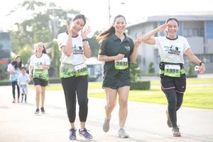 BIB: 2635, 398
                            <button type="button" onclick="openModal(3805331)" class="btn btn-primary btn-sm float-right btn-popup" data-toggle="modal" data-target=".modal-high-quality">
                        <i class="fas fa-shopping-cart"></i> Add to Cart
                    </button>
                                            <button type="button" onclick="isThisMe(3805331, true)" class="btn btn-success btn-sm float-right btn-popup btn-isme hidden" data-toggle="tooltip" data-placement="bottom" title="นี่คือรูปของคุณใช่ไหม คลิกที่นี่เพื่อเอาเข้าอัลบั้ม">
                        <i class="fas fa-plus"></i> Add to album
                    </button>
                    <button type="button" onclick="isThisMe(3805331, false)" class="btn btn-warning btn-sm float-right btn-popup btn-isnotme hidden">
                        <i class="fas fa-ban"></i> Remove from album
                    </button>