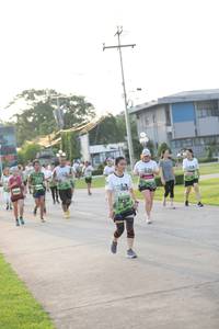 BIB: 
                            <button type="button" onclick="openModal(3803225)" class="btn btn-primary btn-sm float-right btn-popup" data-toggle="modal" data-target=".modal-high-quality">
                        <i class="fas fa-shopping-cart"></i> Add to Cart
                    </button>
                                            <button type="button" onclick="isThisMe(3803225, true)" class="btn btn-success btn-sm float-right btn-popup btn-isme hidden" data-toggle="tooltip" data-placement="bottom" title="นี่คือรูปของคุณใช่ไหม คลิกที่นี่เพื่อเอาเข้าอัลบั้ม">
                        <i class="fas fa-plus"></i> Add to album
                    </button>
                    <button type="button" onclick="isThisMe(3803225, false)" class="btn btn-warning btn-sm float-right btn-popup btn-isnotme hidden">
                        <i class="fas fa-ban"></i> Remove from album
                    </button>