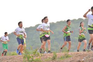 BIB: 1982
                            <button type="button" onclick="openModal(3725993)" class="btn btn-primary btn-sm float-right btn-popup" data-toggle="modal" data-target=".modal-high-quality">
                        <i class="fas fa-shopping-cart"></i> Add to Cart
                    </button>
                                            <button type="button" onclick="isThisMe(3725993, true)" class="btn btn-success btn-sm float-right btn-popup btn-isme hidden" data-toggle="tooltip" data-placement="bottom" title="นี่คือรูปของคุณใช่ไหม คลิกที่นี่เพื่อเอาเข้าอัลบั้ม">
                        <i class="fas fa-plus"></i> Add to album
                    </button>
                    <button type="button" onclick="isThisMe(3725993, false)" class="btn btn-warning btn-sm float-right btn-popup btn-isnotme hidden">
                        <i class="fas fa-ban"></i> Remove from album
                    </button>