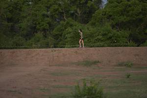 BIB: 2179
                            <button type="button" onclick="openModal(3719200)" class="btn btn-primary btn-sm float-right btn-popup" data-toggle="modal" data-target=".modal-high-quality">
                        <i class="fas fa-shopping-cart"></i> Add to Cart
                    </button>
                                            <button type="button" onclick="isThisMe(3719200, true)" class="btn btn-success btn-sm float-right btn-popup btn-isme hidden" data-toggle="tooltip" data-placement="bottom" title="นี่คือรูปของคุณใช่ไหม คลิกที่นี่เพื่อเอาเข้าอัลบั้ม">
                        <i class="fas fa-plus"></i> Add to album
                    </button>
                    <button type="button" onclick="isThisMe(3719200, false)" class="btn btn-warning btn-sm float-right btn-popup btn-isnotme hidden">
                        <i class="fas fa-ban"></i> Remove from album
                    </button>