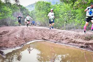 BIB: 
                            <button type="button" onclick="openModal(3749238)" class="btn btn-primary btn-sm float-right btn-popup" data-toggle="modal" data-target=".modal-high-quality">
                        <i class="fas fa-shopping-cart"></i> Add to Cart
                    </button>
                                            <button type="button" onclick="isThisMe(3749238, true)" class="btn btn-success btn-sm float-right btn-popup btn-isme hidden" data-toggle="tooltip" data-placement="bottom" title="นี่คือรูปของคุณใช่ไหม คลิกที่นี่เพื่อเอาเข้าอัลบั้ม">
                        <i class="fas fa-plus"></i> Add to album
                    </button>
                    <button type="button" onclick="isThisMe(3749238, false)" class="btn btn-warning btn-sm float-right btn-popup btn-isnotme hidden">
                        <i class="fas fa-ban"></i> Remove from album
                    </button>