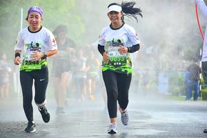 BIB: 0055, 2544
                            <button type="button" onclick="openModal(3732413)" class="btn btn-primary btn-sm float-right btn-popup" data-toggle="modal" data-target=".modal-high-quality">
                        <i class="fas fa-shopping-cart"></i> Add to Cart
                    </button>
                                            <button type="button" onclick="isThisMe(3732413, true)" class="btn btn-success btn-sm float-right btn-popup btn-isme hidden" data-toggle="tooltip" data-placement="bottom" title="นี่คือรูปของคุณใช่ไหม คลิกที่นี่เพื่อเอาเข้าอัลบั้ม">
                        <i class="fas fa-plus"></i> Add to album
                    </button>
                    <button type="button" onclick="isThisMe(3732413, false)" class="btn btn-warning btn-sm float-right btn-popup btn-isnotme hidden">
                        <i class="fas fa-ban"></i> Remove from album
                    </button>