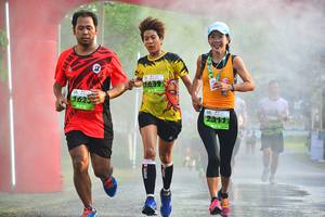 BIB: 1625, 1639, 2311
                            <button type="button" onclick="openModal(3697657)" class="btn btn-primary btn-sm float-right btn-popup" data-toggle="modal" data-target=".modal-high-quality">
                        <i class="fas fa-shopping-cart"></i> Add to Cart
                    </button>
                                            <button type="button" onclick="isThisMe(3697657, true)" class="btn btn-success btn-sm float-right btn-popup btn-isme hidden" data-toggle="tooltip" data-placement="bottom" title="นี่คือรูปของคุณใช่ไหม คลิกที่นี่เพื่อเอาเข้าอัลบั้ม">
                        <i class="fas fa-plus"></i> Add to album
                    </button>
                    <button type="button" onclick="isThisMe(3697657, false)" class="btn btn-warning btn-sm float-right btn-popup btn-isnotme hidden">
                        <i class="fas fa-ban"></i> Remove from album
                    </button>