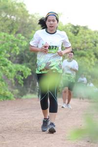 BIB: 8773
                            <button type="button" onclick="openModal(3643784)" class="btn btn-primary btn-sm float-right btn-popup" data-toggle="modal" data-target=".modal-high-quality">
                        <i class="fas fa-shopping-cart"></i> Add to Cart
                    </button>
                                            <button type="button" onclick="isThisMe(3643784, true)" class="btn btn-success btn-sm float-right btn-popup btn-isme hidden" data-toggle="tooltip" data-placement="bottom" title="นี่คือรูปของคุณใช่ไหม คลิกที่นี่เพื่อเอาเข้าอัลบั้ม">
                        <i class="fas fa-plus"></i> Add to album
                    </button>
                    <button type="button" onclick="isThisMe(3643784, false)" class="btn btn-warning btn-sm float-right btn-popup btn-isnotme hidden">
                        <i class="fas fa-ban"></i> Remove from album
                    </button>