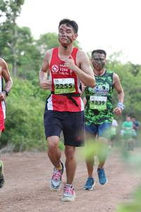 BIB: 1144, 2255, 1339
                            <button type="button" onclick="openModal(3614968)" class="btn btn-primary btn-sm float-right btn-popup" data-toggle="modal" data-target=".modal-high-quality">
                        <i class="fas fa-shopping-cart"></i> Add to Cart
                    </button>
                                            <button type="button" onclick="isThisMe(3614968, true)" class="btn btn-success btn-sm float-right btn-popup btn-isme hidden" data-toggle="tooltip" data-placement="bottom" title="นี่คือรูปของคุณใช่ไหม คลิกที่นี่เพื่อเอาเข้าอัลบั้ม">
                        <i class="fas fa-plus"></i> Add to album
                    </button>
                    <button type="button" onclick="isThisMe(3614968, false)" class="btn btn-warning btn-sm float-right btn-popup btn-isnotme hidden">
                        <i class="fas fa-ban"></i> Remove from album
                    </button>