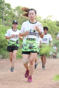 BIB: 2056, 1547
                            <button type="button" onclick="openModal(3643599)" class="btn btn-primary btn-sm float-right btn-popup" data-toggle="modal" data-target=".modal-high-quality">
                        <i class="fas fa-shopping-cart"></i> Add to Cart
                    </button>
                                            <button type="button" onclick="isThisMe(3643599, true)" class="btn btn-success btn-sm float-right btn-popup btn-isme hidden" data-toggle="tooltip" data-placement="bottom" title="นี่คือรูปของคุณใช่ไหม คลิกที่นี่เพื่อเอาเข้าอัลบั้ม">
                        <i class="fas fa-plus"></i> Add to album
                    </button>
                    <button type="button" onclick="isThisMe(3643599, false)" class="btn btn-warning btn-sm float-right btn-popup btn-isnotme hidden">
                        <i class="fas fa-ban"></i> Remove from album
                    </button>