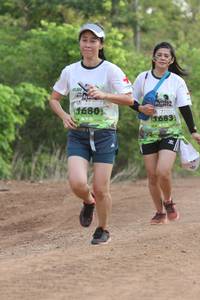 BIB: 1680, 683, 
                            <button type="button" onclick="openModal(3649651)" class="btn btn-primary btn-sm float-right btn-popup" data-toggle="modal" data-target=".modal-high-quality">
                        <i class="fas fa-shopping-cart"></i> Add to Cart
                    </button>
                                            <button type="button" onclick="isThisMe(3649651, true)" class="btn btn-success btn-sm float-right btn-popup btn-isme hidden" data-toggle="tooltip" data-placement="bottom" title="นี่คือรูปของคุณใช่ไหม คลิกที่นี่เพื่อเอาเข้าอัลบั้ม">
                        <i class="fas fa-plus"></i> Add to album
                    </button>
                    <button type="button" onclick="isThisMe(3649651, false)" class="btn btn-warning btn-sm float-right btn-popup btn-isnotme hidden">
                        <i class="fas fa-ban"></i> Remove from album
                    </button>