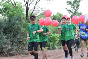 BIB: 
                            <button type="button" onclick="openModal(3617317)" class="btn btn-primary btn-sm float-right btn-popup" data-toggle="modal" data-target=".modal-high-quality">
                        <i class="fas fa-shopping-cart"></i> Add to Cart
                    </button>
                                            <button type="button" onclick="isThisMe(3617317, true)" class="btn btn-success btn-sm float-right btn-popup btn-isme hidden" data-toggle="tooltip" data-placement="bottom" title="นี่คือรูปของคุณใช่ไหม คลิกที่นี่เพื่อเอาเข้าอัลบั้ม">
                        <i class="fas fa-plus"></i> Add to album
                    </button>
                    <button type="button" onclick="isThisMe(3617317, false)" class="btn btn-warning btn-sm float-right btn-popup btn-isnotme hidden">
                        <i class="fas fa-ban"></i> Remove from album
                    </button>