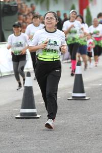 BIB: 1645
                            <button type="button" onclick="openModal(3652540)" class="btn btn-primary btn-sm float-right btn-popup" data-toggle="modal" data-target=".modal-high-quality">
                        <i class="fas fa-shopping-cart"></i> Add to Cart
                    </button>
                                            <button type="button" onclick="isThisMe(3652540, true)" class="btn btn-success btn-sm float-right btn-popup btn-isme hidden" data-toggle="tooltip" data-placement="bottom" title="นี่คือรูปของคุณใช่ไหม คลิกที่นี่เพื่อเอาเข้าอัลบั้ม">
                        <i class="fas fa-plus"></i> Add to album
                    </button>
                    <button type="button" onclick="isThisMe(3652540, false)" class="btn btn-warning btn-sm float-right btn-popup btn-isnotme hidden">
                        <i class="fas fa-ban"></i> Remove from album
                    </button>