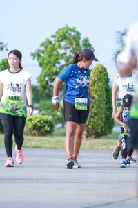 BIB: 416
                            <button type="button" onclick="openModal(3684221)" class="btn btn-primary btn-sm float-right btn-popup" data-toggle="modal" data-target=".modal-high-quality">
                        <i class="fas fa-shopping-cart"></i> Add to Cart
                    </button>
                                            <button type="button" onclick="isThisMe(3684221, true)" class="btn btn-success btn-sm float-right btn-popup btn-isme hidden" data-toggle="tooltip" data-placement="bottom" title="นี่คือรูปของคุณใช่ไหม คลิกที่นี่เพื่อเอาเข้าอัลบั้ม">
                        <i class="fas fa-plus"></i> Add to album
                    </button>
                    <button type="button" onclick="isThisMe(3684221, false)" class="btn btn-warning btn-sm float-right btn-popup btn-isnotme hidden">
                        <i class="fas fa-ban"></i> Remove from album
                    </button>