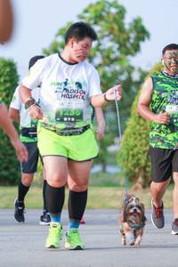 BIB: 
                            <button type="button" onclick="openModal(3667596)" class="btn btn-primary btn-sm float-right btn-popup" data-toggle="modal" data-target=".modal-high-quality">
                        <i class="fas fa-shopping-cart"></i> Add to Cart
                    </button>
                                            <button type="button" onclick="isThisMe(3667596, true)" class="btn btn-success btn-sm float-right btn-popup btn-isme hidden" data-toggle="tooltip" data-placement="bottom" title="นี่คือรูปของคุณใช่ไหม คลิกที่นี่เพื่อเอาเข้าอัลบั้ม">
                        <i class="fas fa-plus"></i> Add to album
                    </button>
                    <button type="button" onclick="isThisMe(3667596, false)" class="btn btn-warning btn-sm float-right btn-popup btn-isnotme hidden">
                        <i class="fas fa-ban"></i> Remove from album
                    </button>