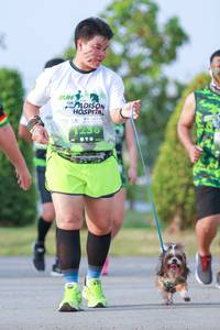 BIB: 
                            <button type="button" onclick="openModal(3667615)" class="btn btn-primary btn-sm float-right btn-popup" data-toggle="modal" data-target=".modal-high-quality">
                        <i class="fas fa-shopping-cart"></i> Add to Cart
                    </button>
                                            <button type="button" onclick="isThisMe(3667615, true)" class="btn btn-success btn-sm float-right btn-popup btn-isme hidden" data-toggle="tooltip" data-placement="bottom" title="นี่คือรูปของคุณใช่ไหม คลิกที่นี่เพื่อเอาเข้าอัลบั้ม">
                        <i class="fas fa-plus"></i> Add to album
                    </button>
                    <button type="button" onclick="isThisMe(3667615, false)" class="btn btn-warning btn-sm float-right btn-popup btn-isnotme hidden">
                        <i class="fas fa-ban"></i> Remove from album
                    </button>