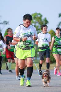 BIB: 
                            <button type="button" onclick="openModal(3667639)" class="btn btn-primary btn-sm float-right btn-popup" data-toggle="modal" data-target=".modal-high-quality">
                        <i class="fas fa-shopping-cart"></i> Add to Cart
                    </button>
                                            <button type="button" onclick="isThisMe(3667639, true)" class="btn btn-success btn-sm float-right btn-popup btn-isme hidden" data-toggle="tooltip" data-placement="bottom" title="นี่คือรูปของคุณใช่ไหม คลิกที่นี่เพื่อเอาเข้าอัลบั้ม">
                        <i class="fas fa-plus"></i> Add to album
                    </button>
                    <button type="button" onclick="isThisMe(3667639, false)" class="btn btn-warning btn-sm float-right btn-popup btn-isnotme hidden">
                        <i class="fas fa-ban"></i> Remove from album
                    </button>