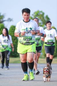 BIB: 
                            <button type="button" onclick="openModal(3667666)" class="btn btn-primary btn-sm float-right btn-popup" data-toggle="modal" data-target=".modal-high-quality">
                        <i class="fas fa-shopping-cart"></i> Add to Cart
                    </button>
                                            <button type="button" onclick="isThisMe(3667666, true)" class="btn btn-success btn-sm float-right btn-popup btn-isme hidden" data-toggle="tooltip" data-placement="bottom" title="นี่คือรูปของคุณใช่ไหม คลิกที่นี่เพื่อเอาเข้าอัลบั้ม">
                        <i class="fas fa-plus"></i> Add to album
                    </button>
                    <button type="button" onclick="isThisMe(3667666, false)" class="btn btn-warning btn-sm float-right btn-popup btn-isnotme hidden">
                        <i class="fas fa-ban"></i> Remove from album
                    </button>