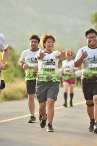 BIB: 1629
                            <button type="button" onclick="openModal(3633840)" class="btn btn-primary btn-sm float-right btn-popup" data-toggle="modal" data-target=".modal-high-quality">
                        <i class="fas fa-shopping-cart"></i> Add to Cart
                    </button>
                                            <button type="button" onclick="isThisMe(3633840, true)" class="btn btn-success btn-sm float-right btn-popup btn-isme hidden" data-toggle="tooltip" data-placement="bottom" title="นี่คือรูปของคุณใช่ไหม คลิกที่นี่เพื่อเอาเข้าอัลบั้ม">
                        <i class="fas fa-plus"></i> Add to album
                    </button>
                    <button type="button" onclick="isThisMe(3633840, false)" class="btn btn-warning btn-sm float-right btn-popup btn-isnotme hidden">
                        <i class="fas fa-ban"></i> Remove from album
                    </button>