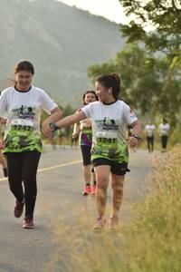 BIB: 
                            <button type="button" onclick="openModal(3635883)" class="btn btn-primary btn-sm float-right btn-popup" data-toggle="modal" data-target=".modal-high-quality">
                        <i class="fas fa-shopping-cart"></i> Add to Cart
                    </button>
                                            <button type="button" onclick="isThisMe(3635883, true)" class="btn btn-success btn-sm float-right btn-popup btn-isme hidden" data-toggle="tooltip" data-placement="bottom" title="นี่คือรูปของคุณใช่ไหม คลิกที่นี่เพื่อเอาเข้าอัลบั้ม">
                        <i class="fas fa-plus"></i> Add to album
                    </button>
                    <button type="button" onclick="isThisMe(3635883, false)" class="btn btn-warning btn-sm float-right btn-popup btn-isnotme hidden">
                        <i class="fas fa-ban"></i> Remove from album
                    </button>